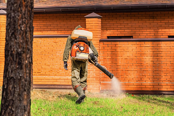 Bed Bug Clearance Verification and Documentation in Jean Lafitte
